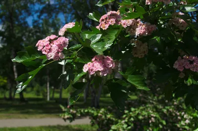 Photo from 4 June 2011