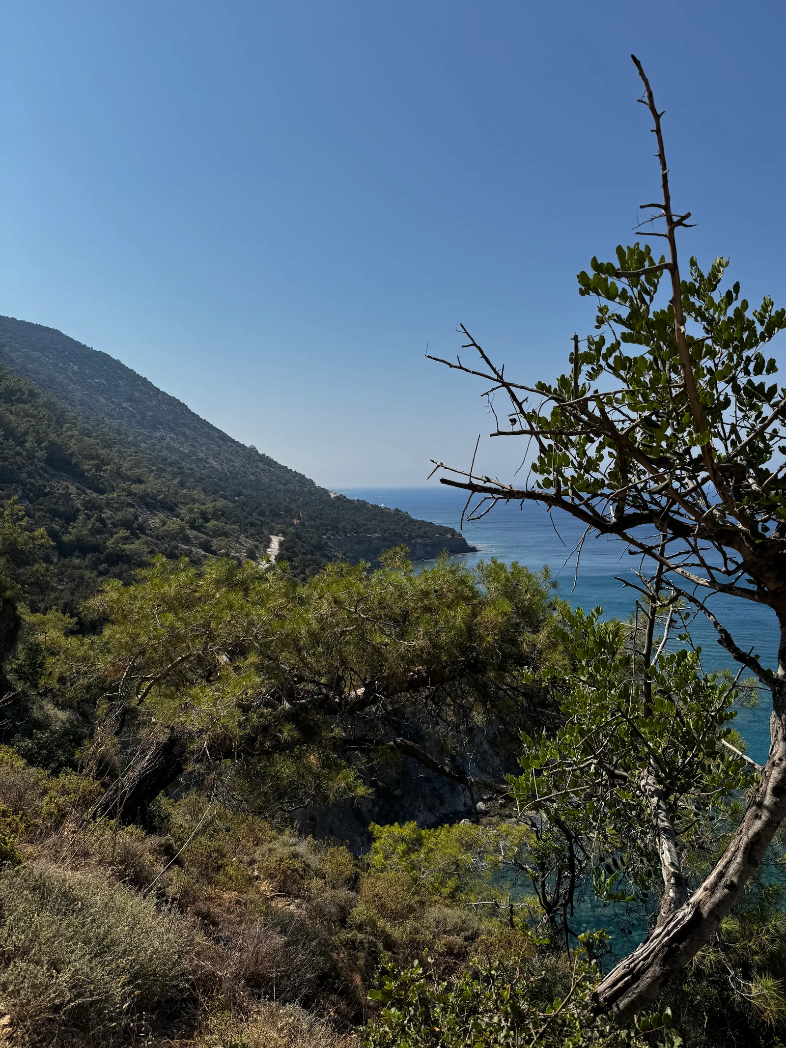 Pólis, Cyprus — 13 June 2025