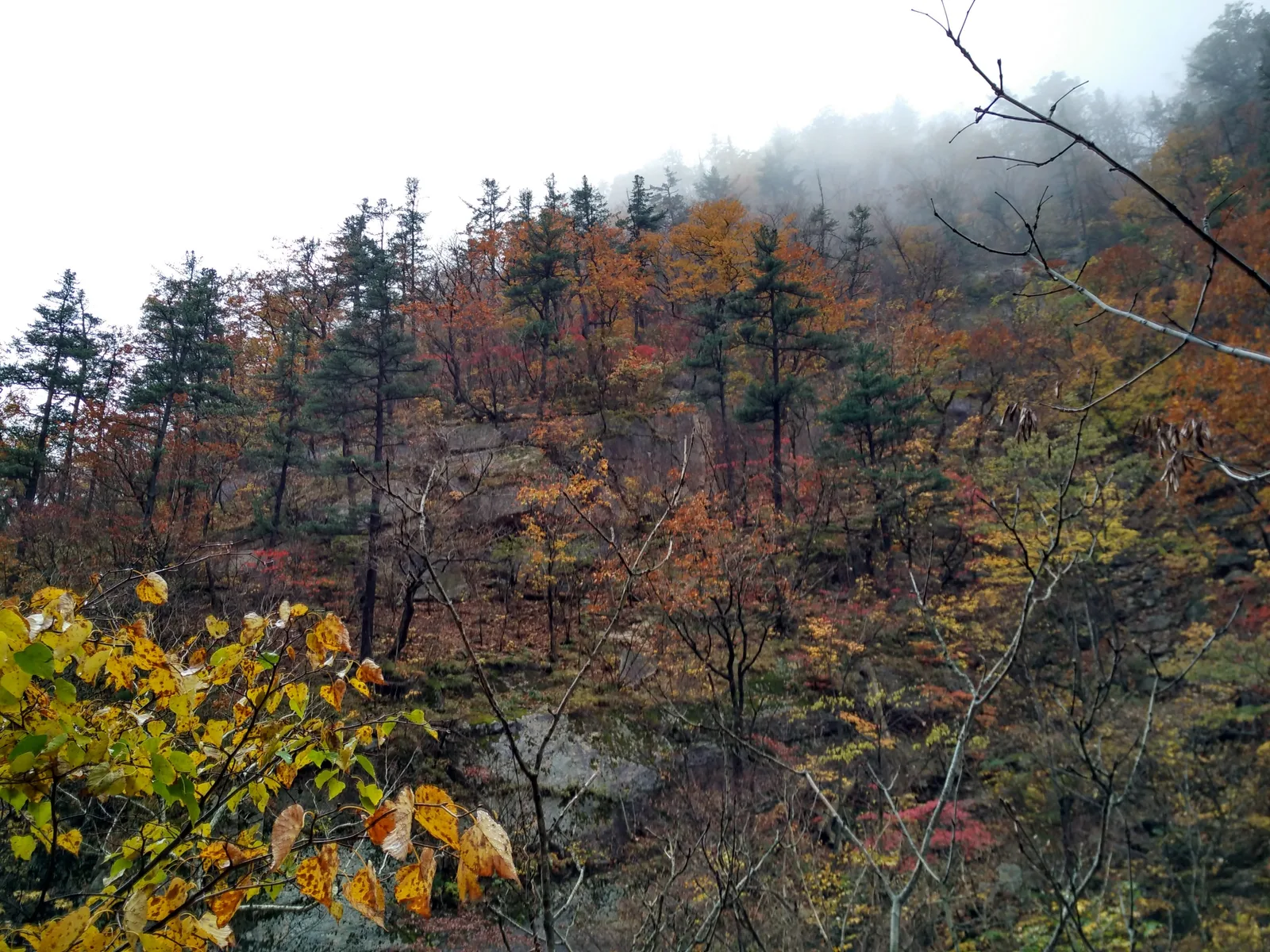 Sokcho, South Korea — 21 October 2016