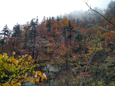 Sokcho, South Korea — 21 October 2016