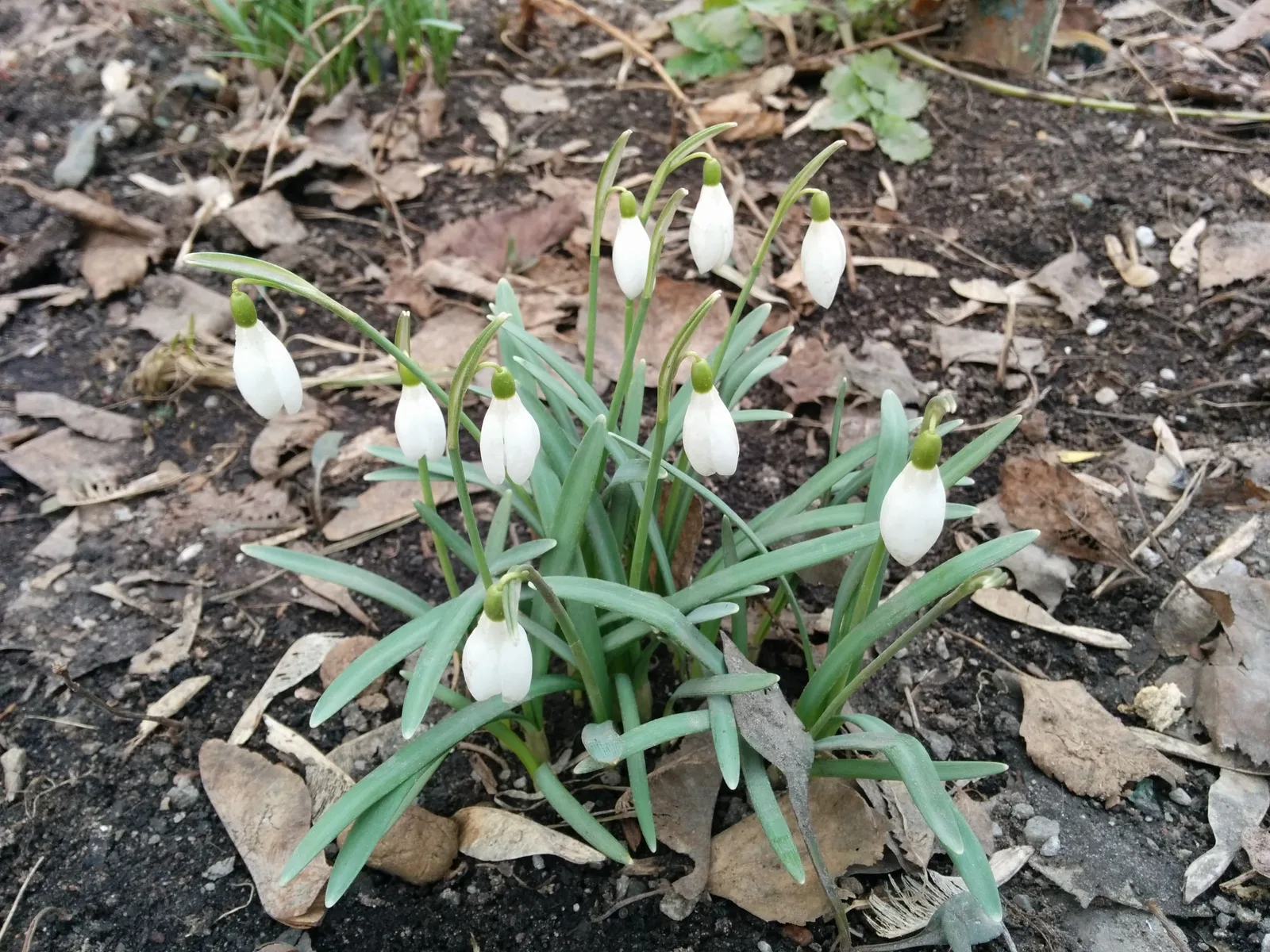 Photo from 15 March 2014