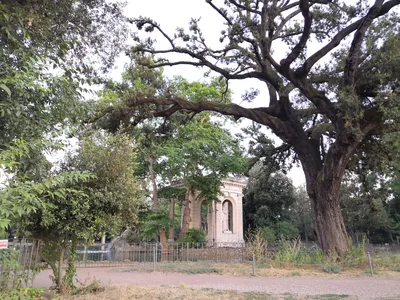 Photo from 19 July 2019