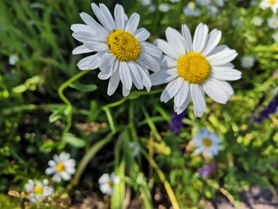 Photo from 16 June 2019
