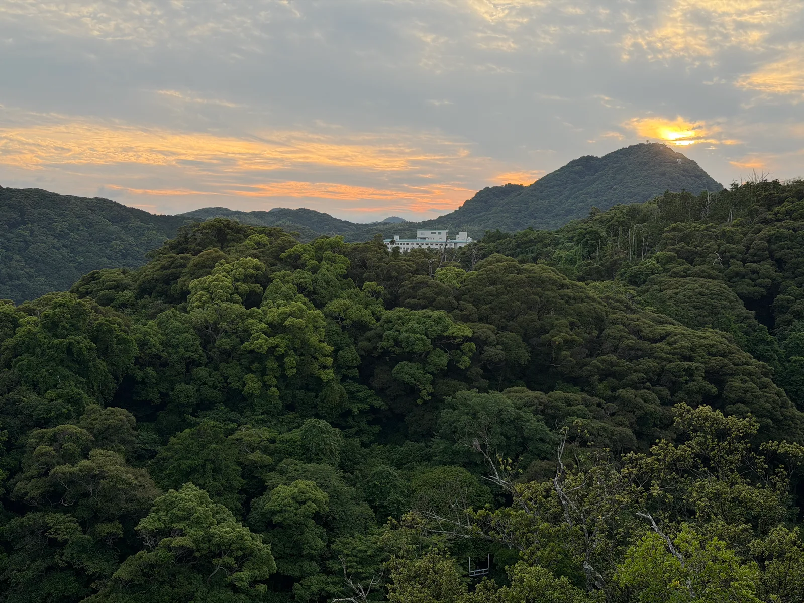 Shimoda, Japan — 19 June 2026
