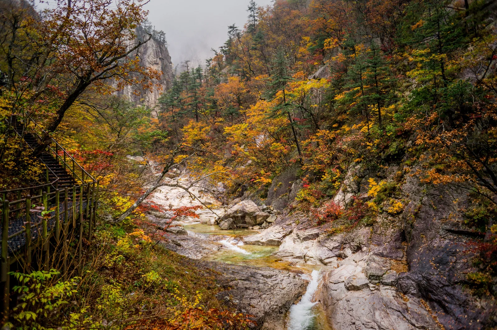 Photo from 21 October 2016