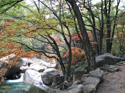 Sokcho, South Korea — 21 October 2016