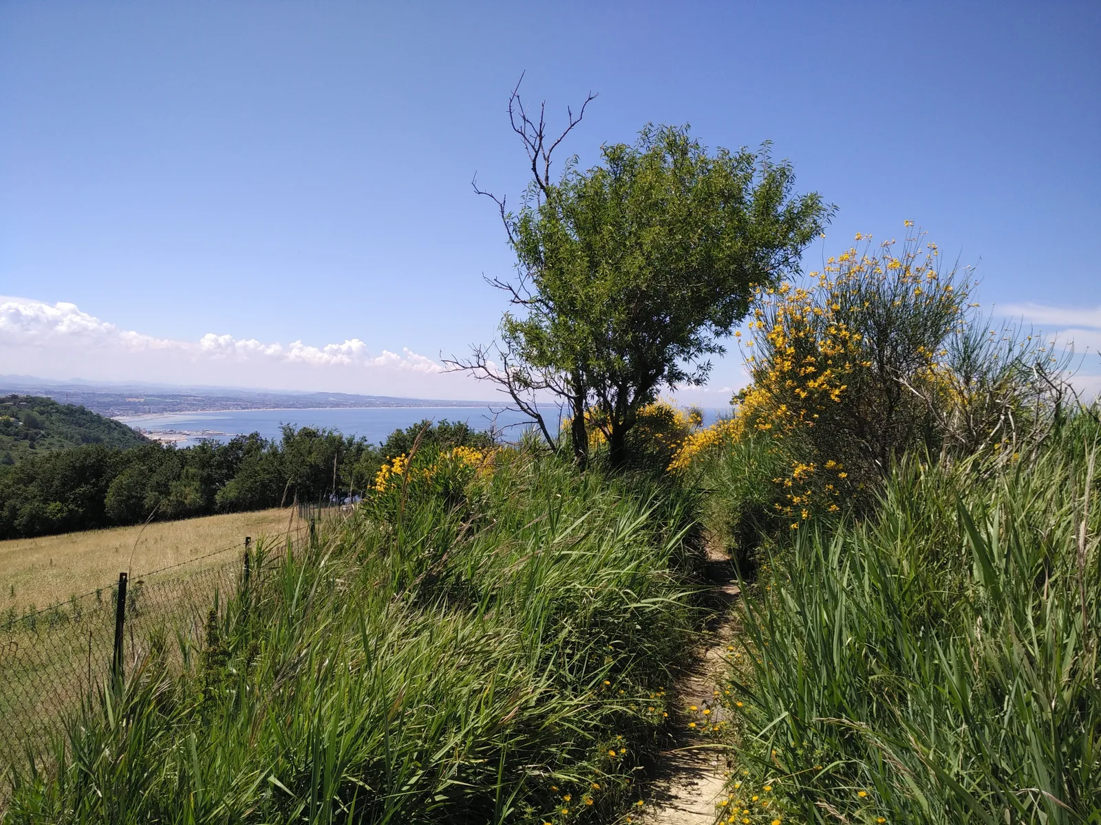 Gradara, Italy — 13 June 2016