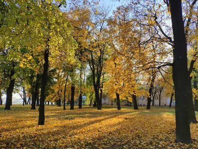 Finlyandskiy, Russia — 14 October 2018