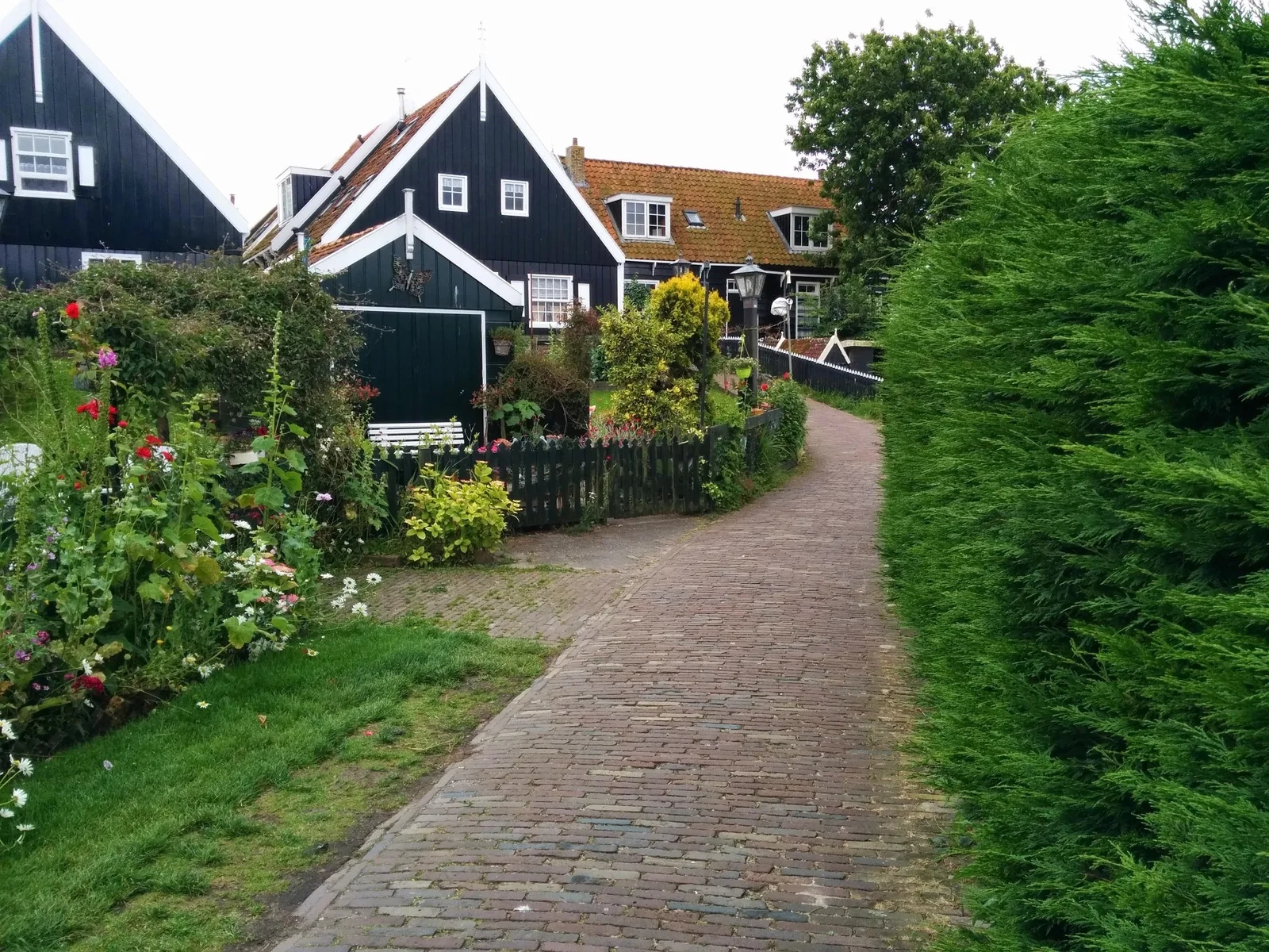 Photo from 16 June 2014
