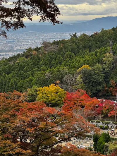 Minoh, Japan — 26 November 2024