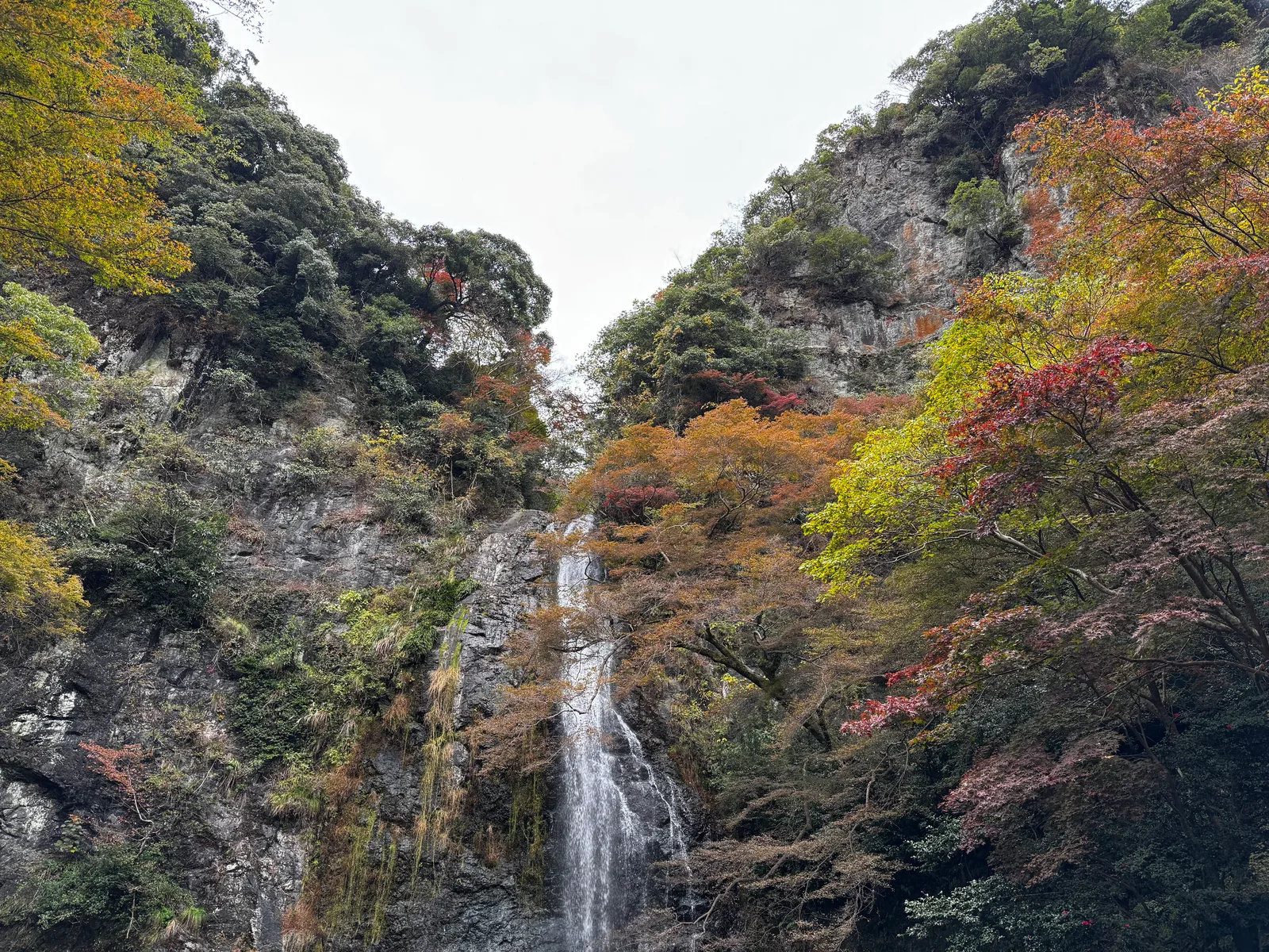 Minoh, Japan — 26 November 2024