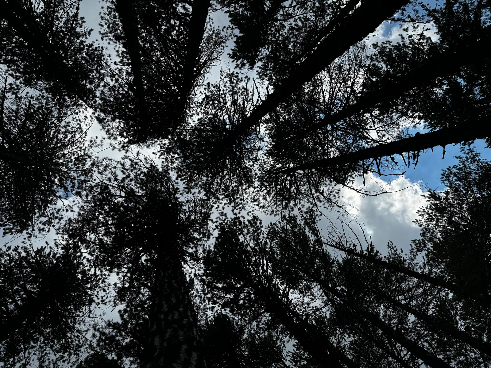 Tróodos, Cyprus — 21 July 2024