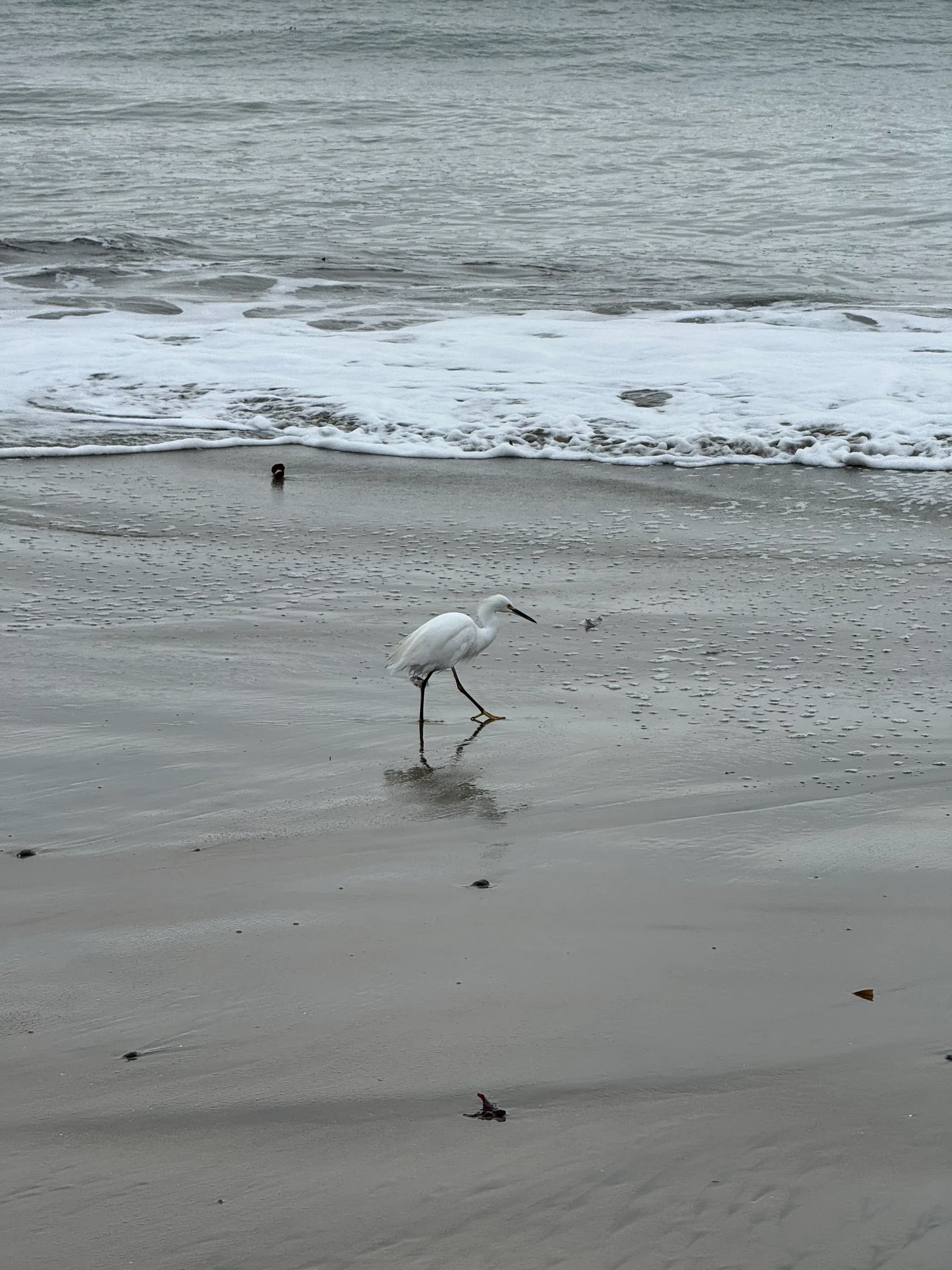 Santa Cruz, United States — 21 October 2025