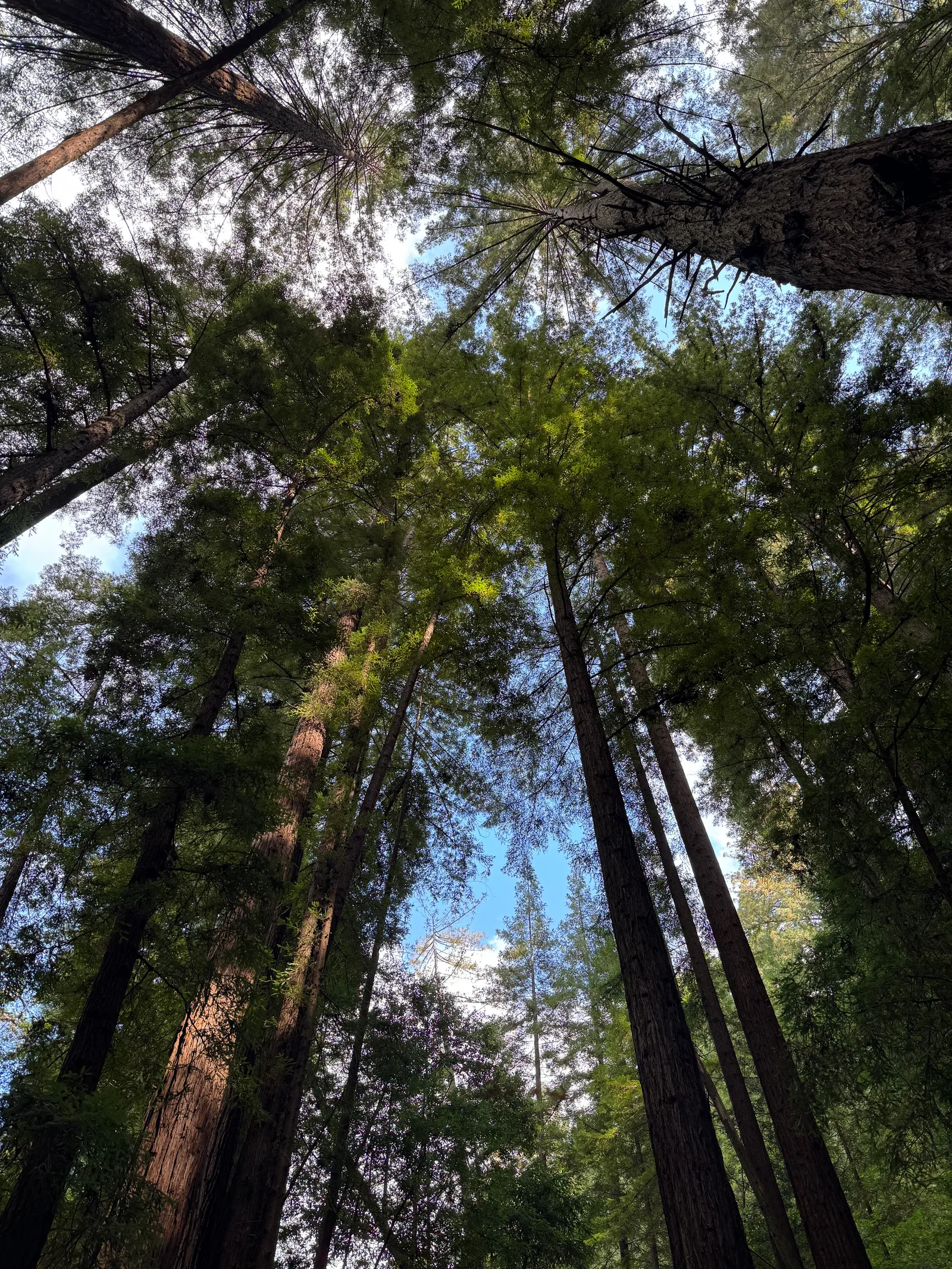 Day Valley, United States — 22 October 2025