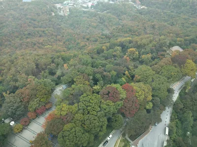 Yongsan-dong, South Korea — 16 October 2016