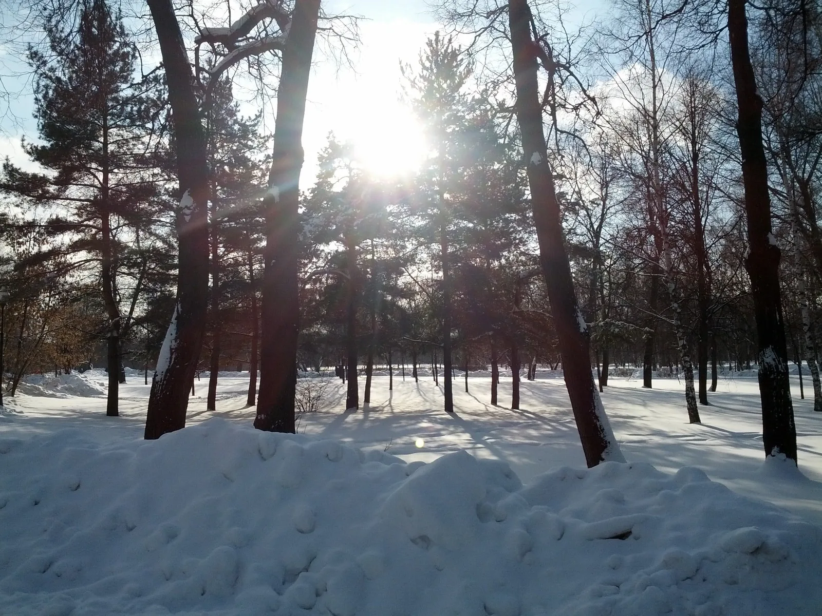 Photo from 2 February 2013