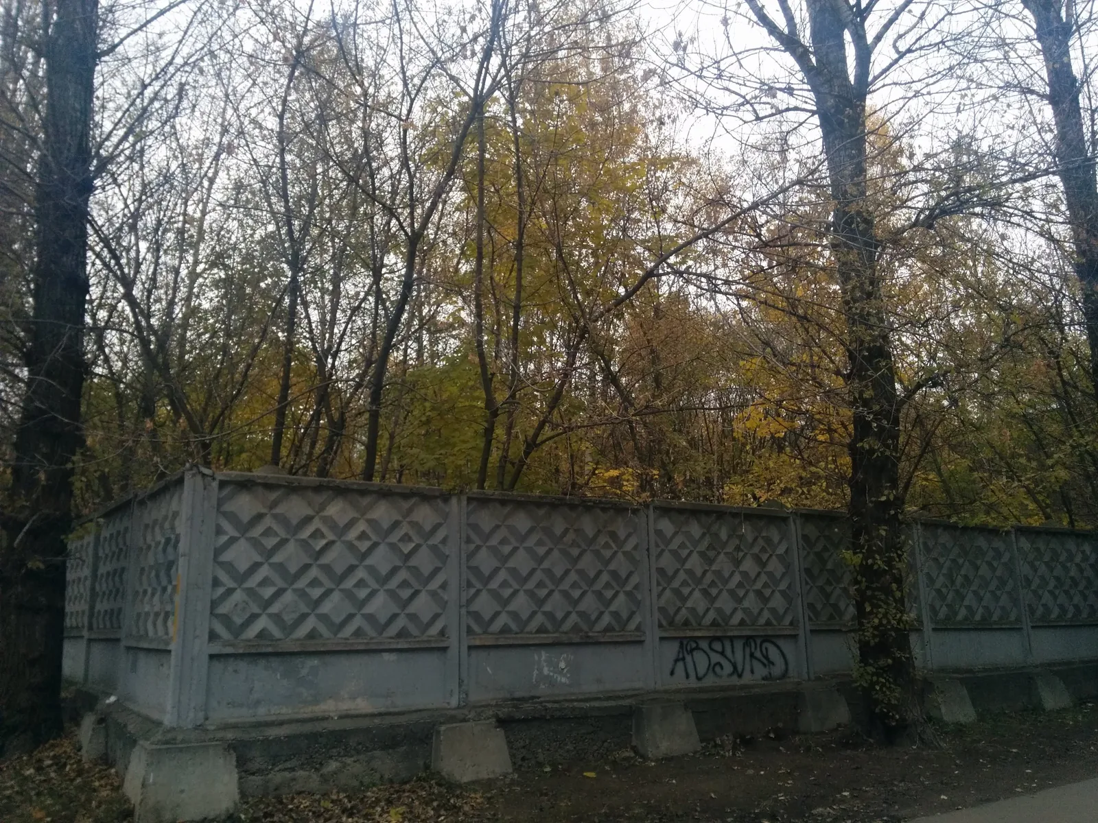 Photo from 24 October 2015