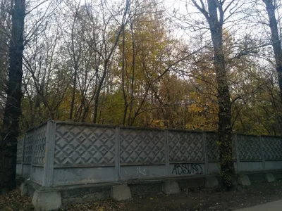 Photo from 24 October 2015