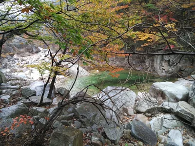 Photo from 21 October 2016
