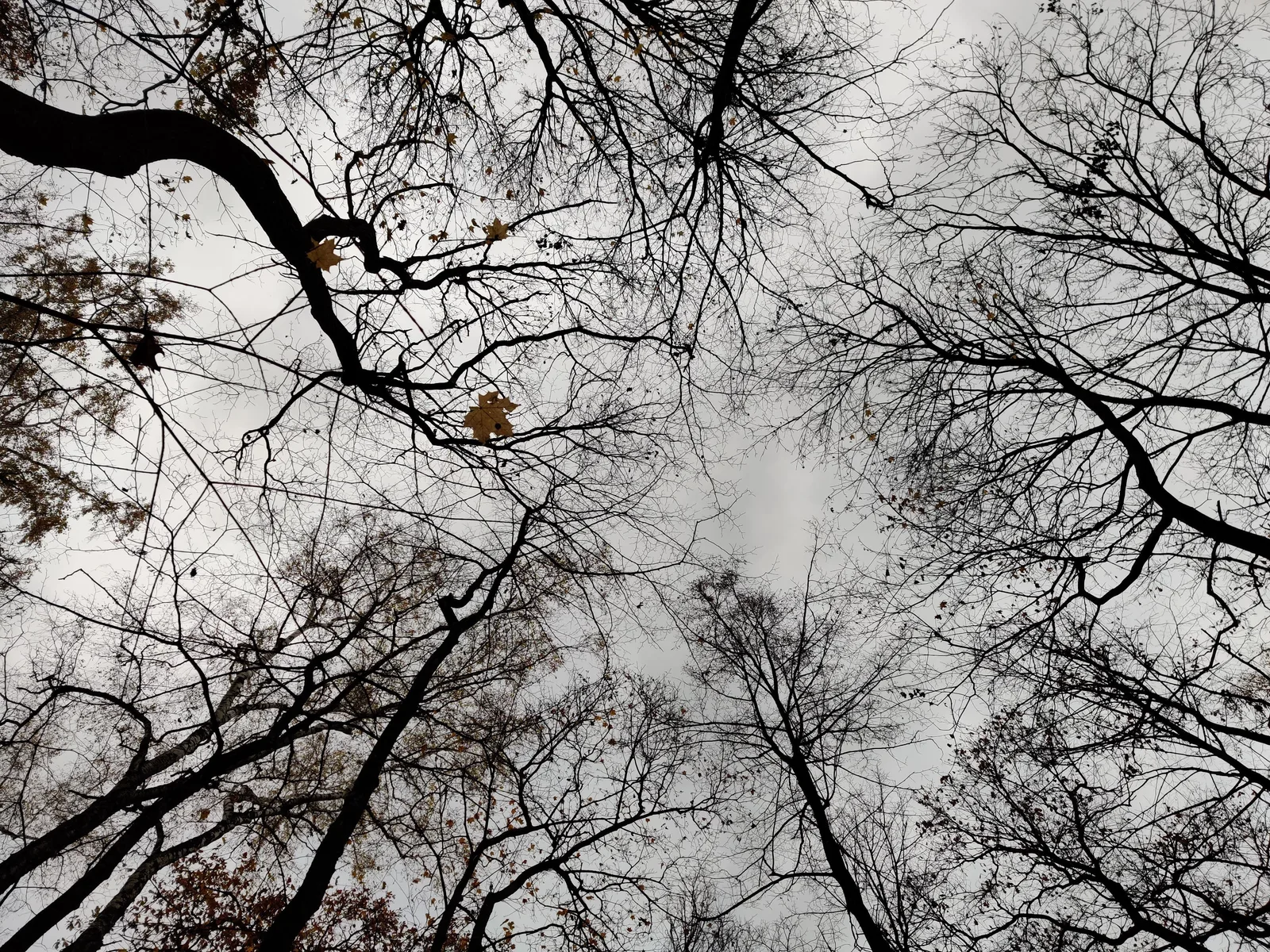 Ozëry, Russia — 12 October 2019