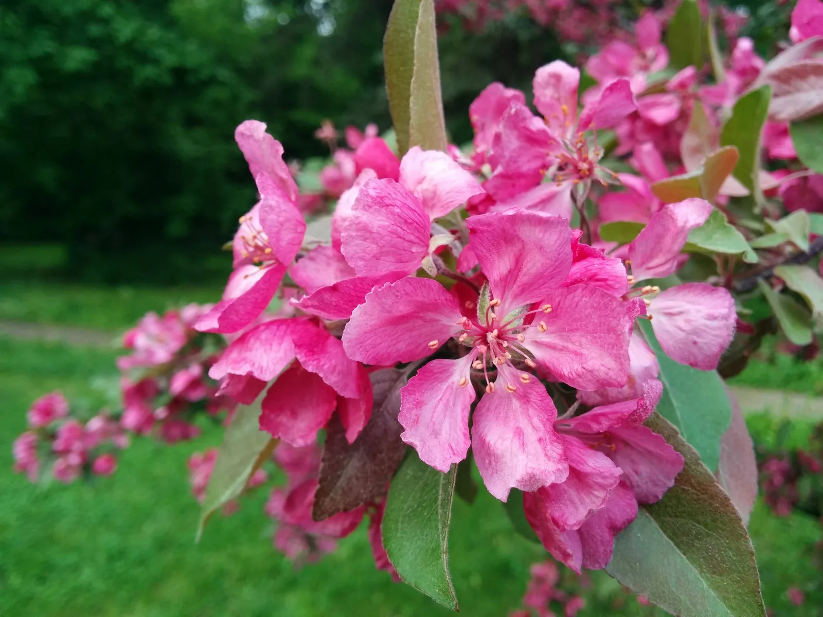 Photo from 23 May 2015