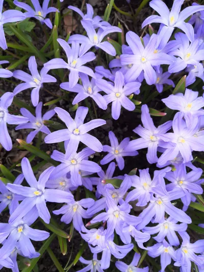 Photo from 20 April 2019