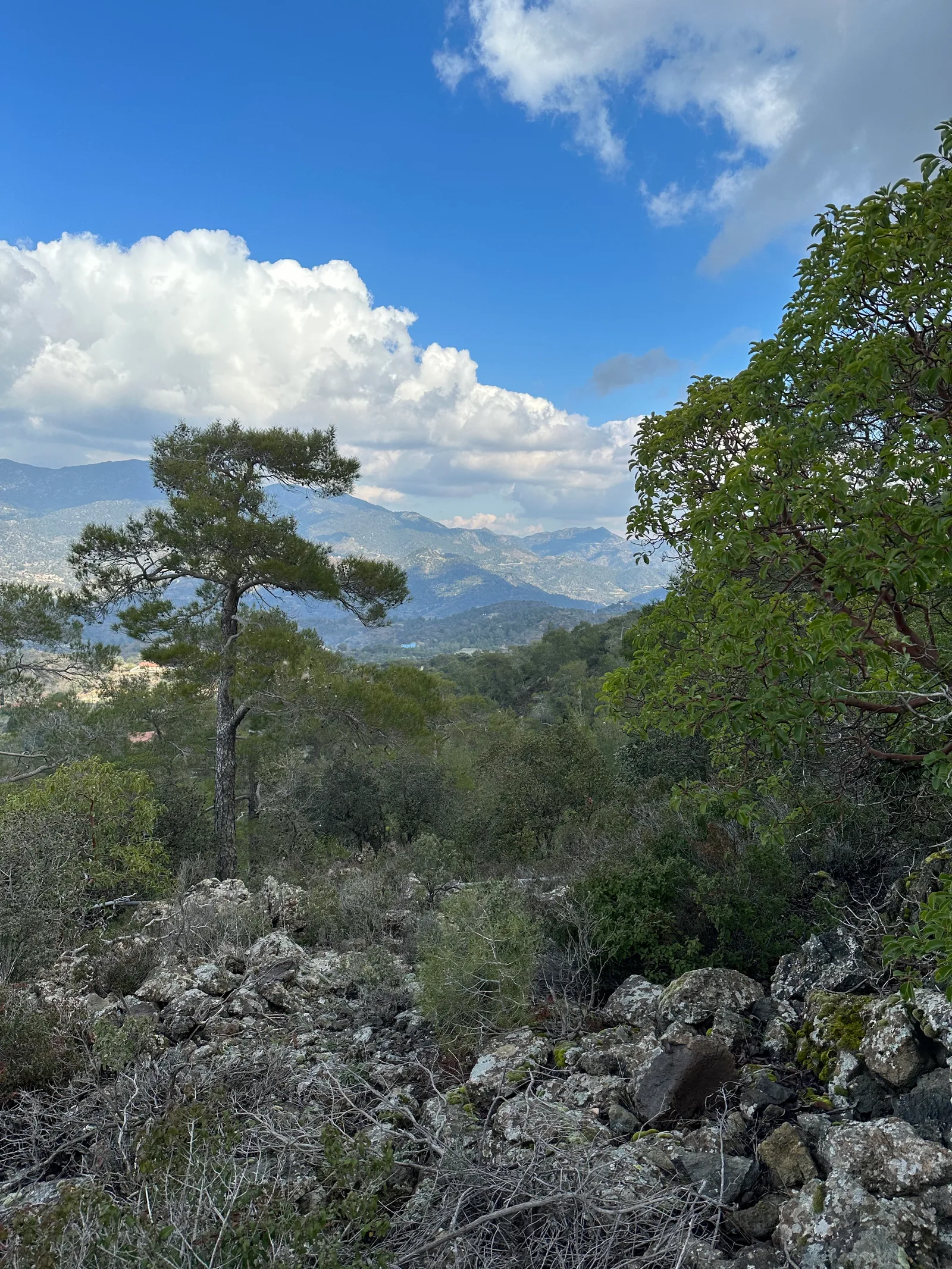 Peléndri, Cyprus — 25 February 2023