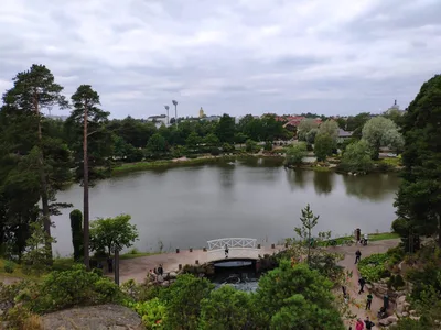 Photo from 1 August 2019