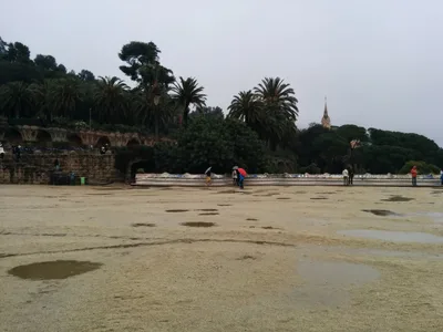 Photo from 30 March 2014
