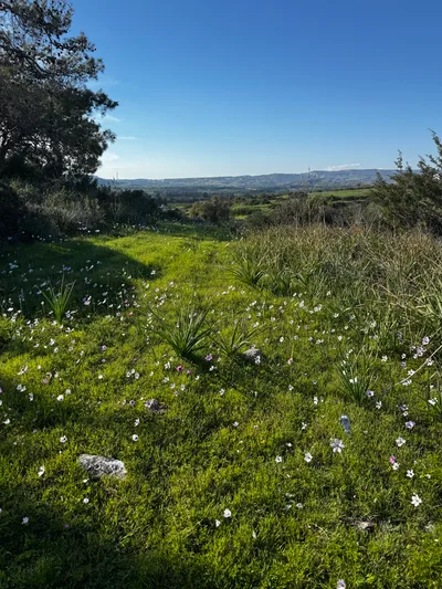 Sotíra, Cyprus — 2 February 2025