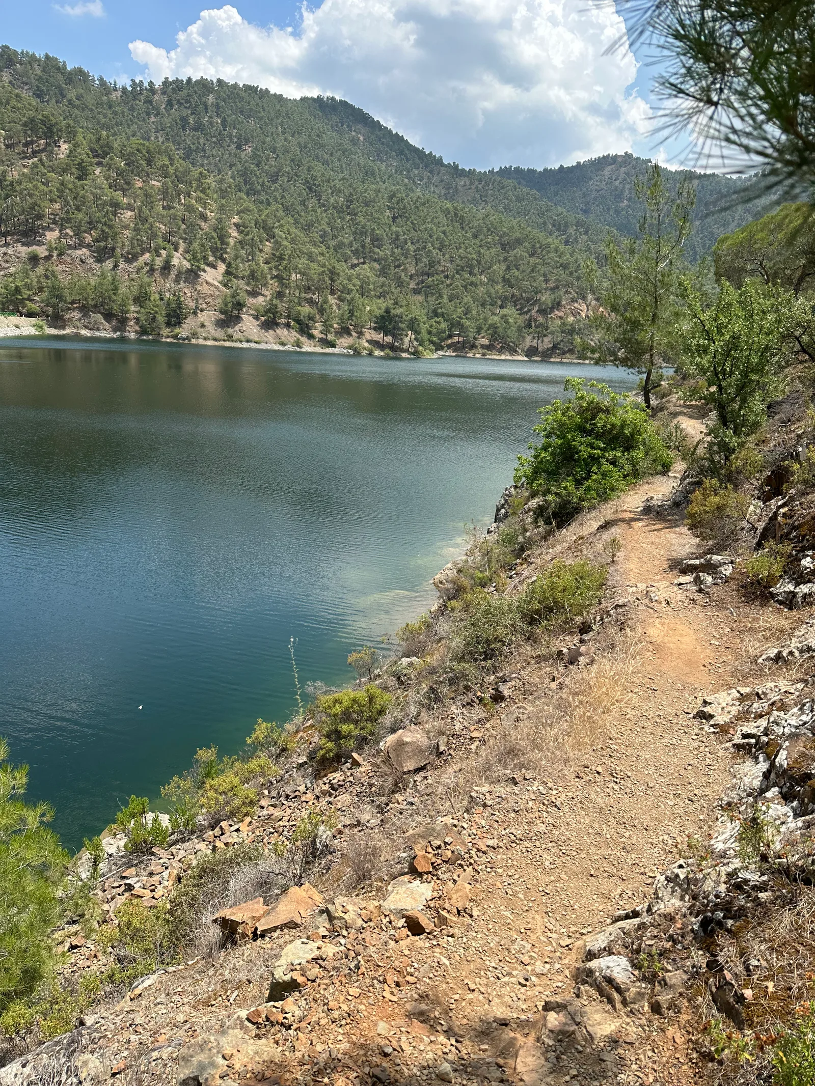 Kyperoúnta, Cyprus — 1 July 2023