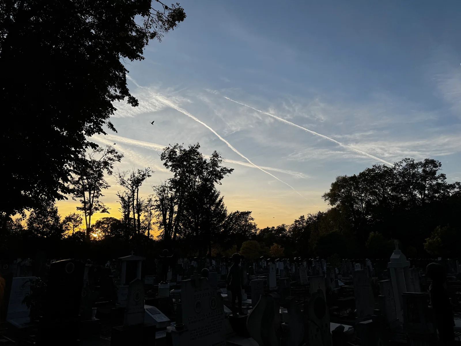 Palilula, Serbia — 19 October 2024