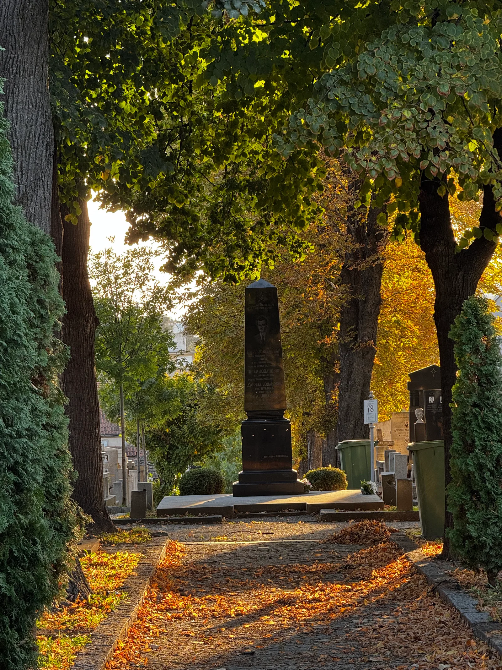 Palilula, Serbia — 19 October 2024