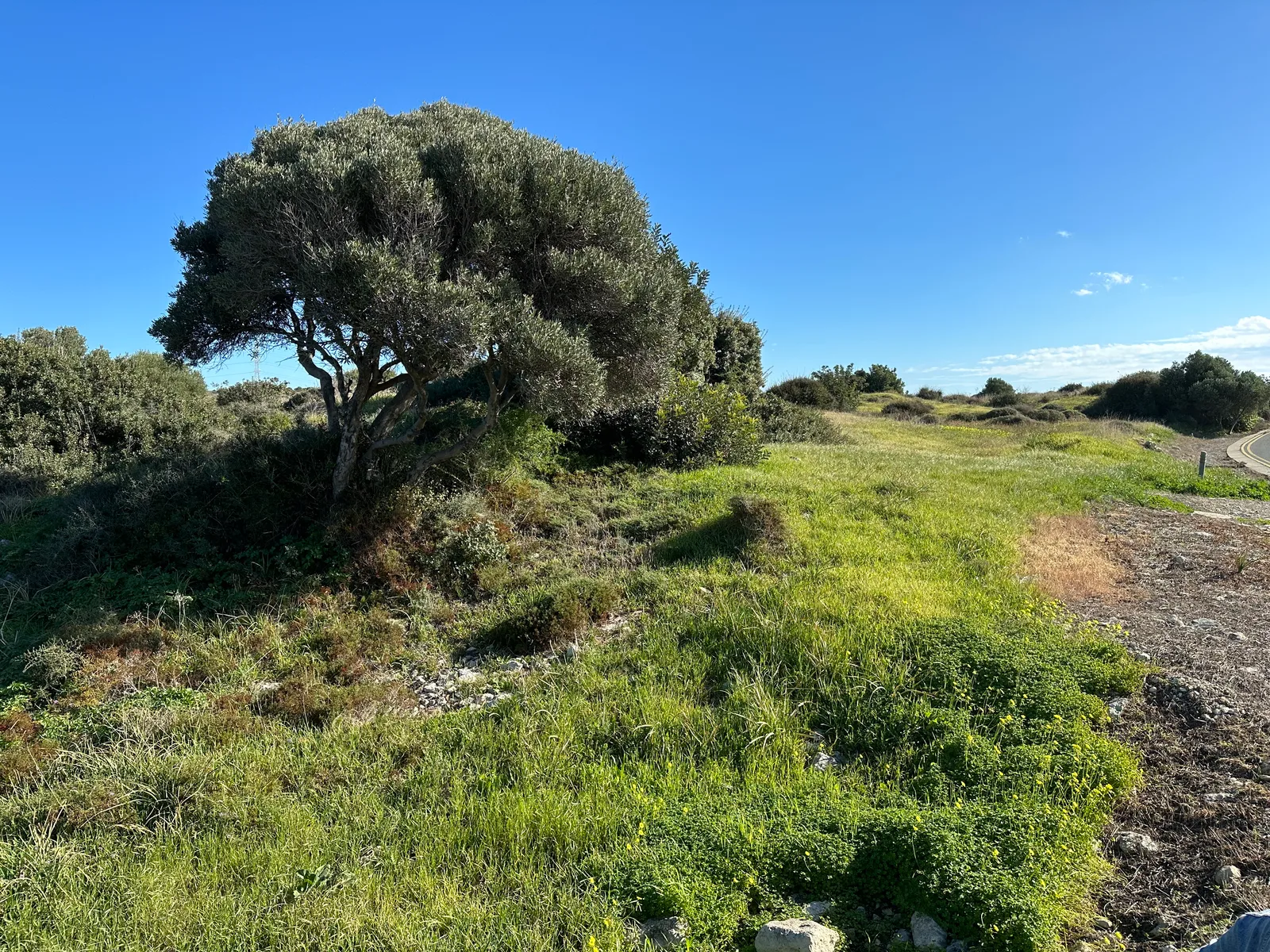 Erími, Cyprus — 29 January 2023