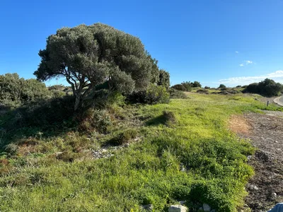 Erími, Cyprus — 29 January 2023