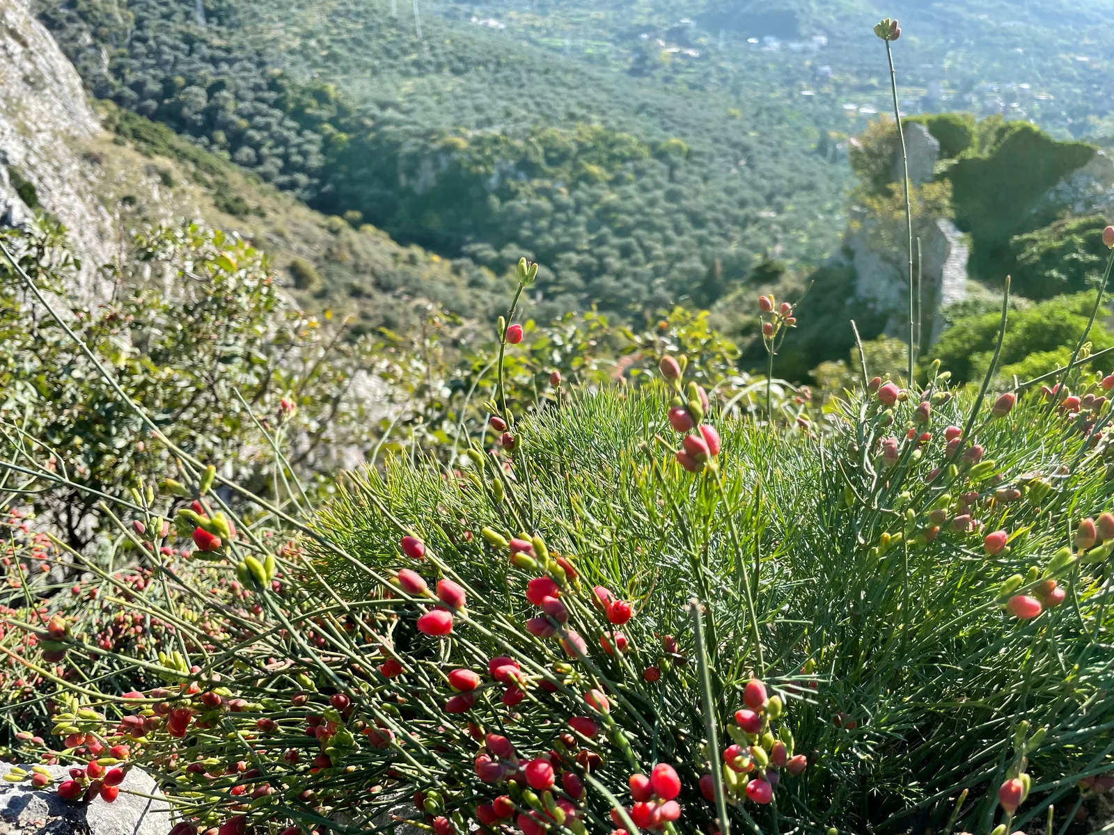 Stari Bar, Montenegro — 20 November 2021
