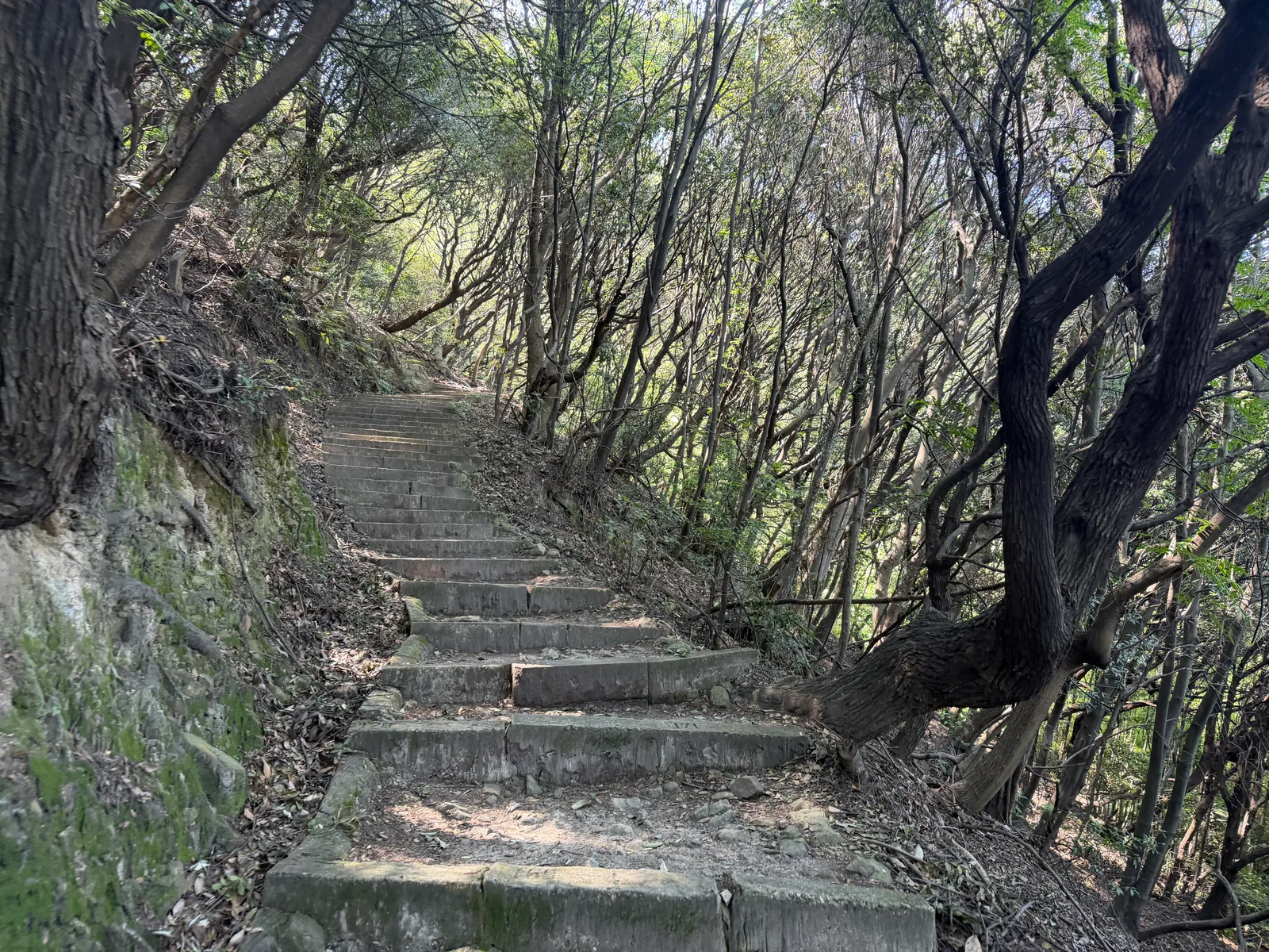 Fukuyama, Japan — 15 June 2026