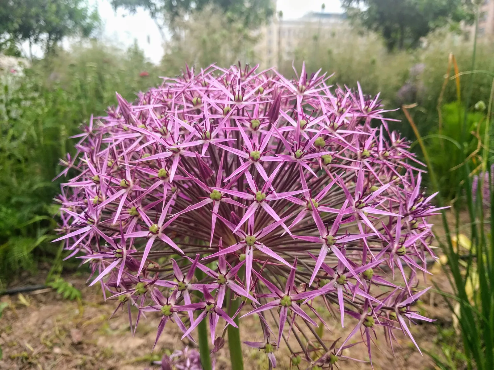Photo from 29 June 2017