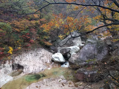 Sokcho, South Korea — 21 October 2016