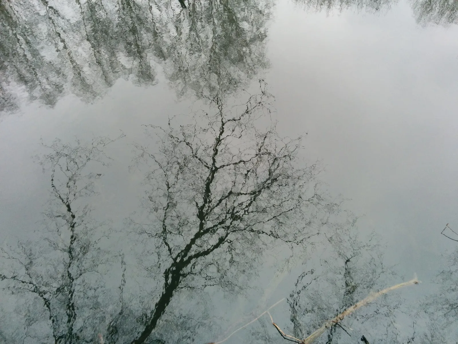 Photo from 21 March 2015