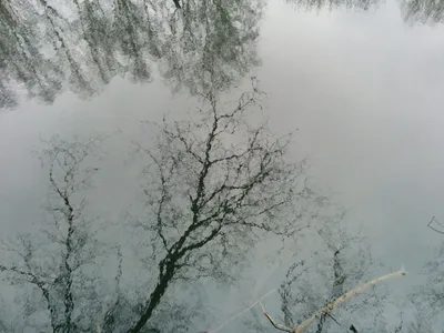 Photo from 21 March 2015