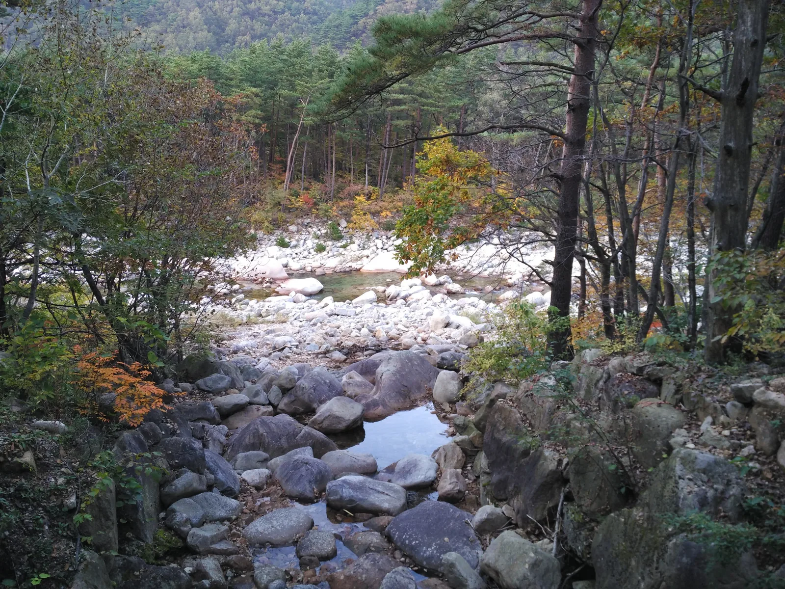 Sokcho, South Korea — 19 October 2016