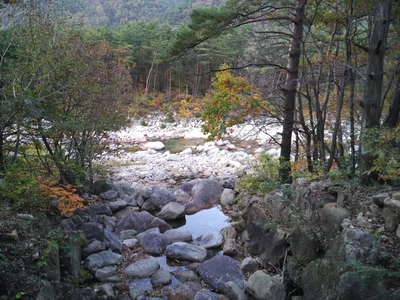 Sokcho, South Korea — 19 October 2016