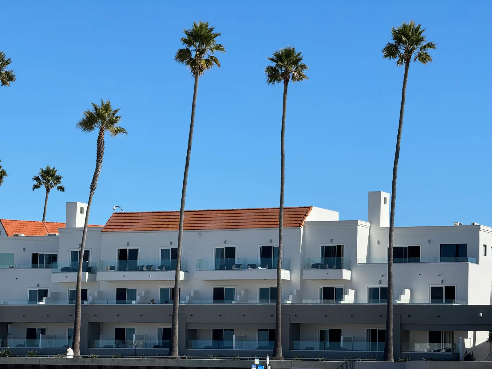 Pismo Beach, United States — 27 October 2025