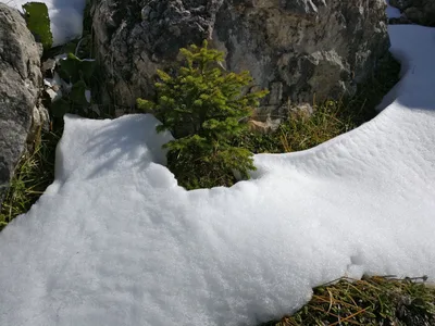 Vigo di Fassa, Italy — 22 September 2017