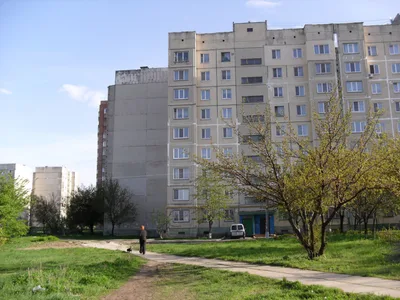 Photo from 8 May 2011