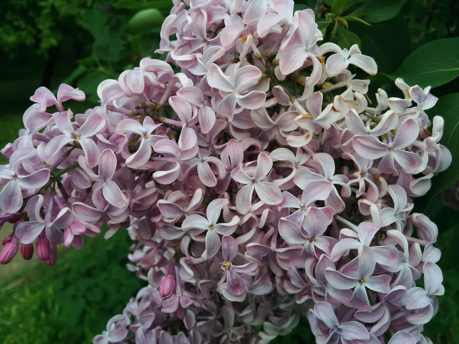 Photo from 23 May 2015