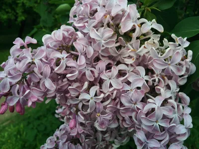 Photo from 23 May 2015