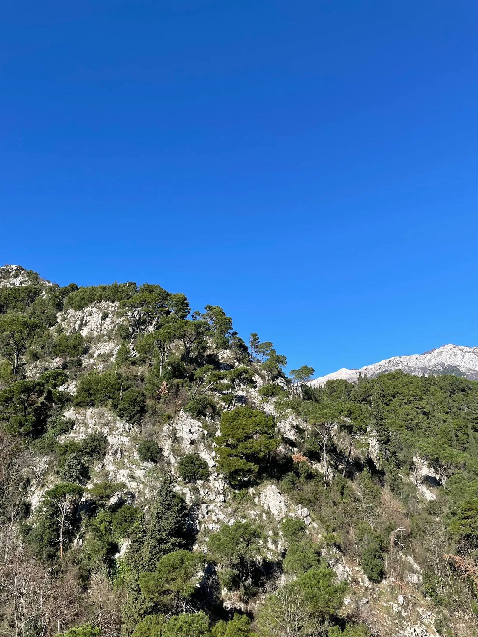 Budva, Montenegro — 16 January 2022