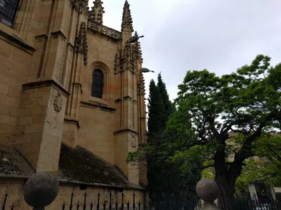 Photo from 26 April 2017